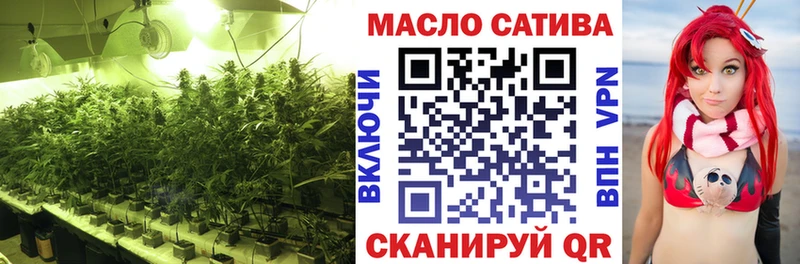Купить где  Бородино  Дистиллят ТГК гашишное масло 